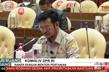 Mentan: Pemerintah akan perbaiki regulasi tata kelola pupuk subsidi