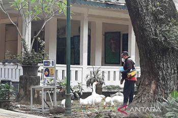 Gibran janji selesaikan sejumlah proyek infrastruktur