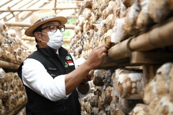 Survei terbaru: Ridwan Kamil capres unggulan pilihan warga Jawa Barat