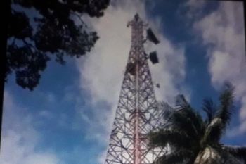 Diskominfo Pessel fasilitasi penyediaan layanan internet