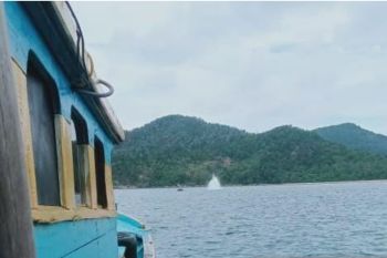 Aksi bom Ikan kembali teror perairan Pulau Pejantan Tambelan