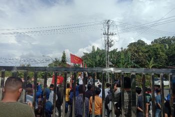 Petani di Sulbar tolak Permendag Nomor 06 Tahun 2022