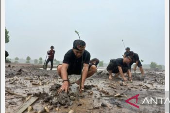 Persemaian permanen modern mangrove pertama di Indonesia
