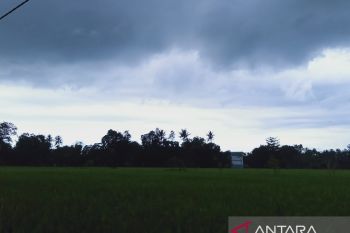 Musim hujan ancam produksi musim tanam padi awal 2022