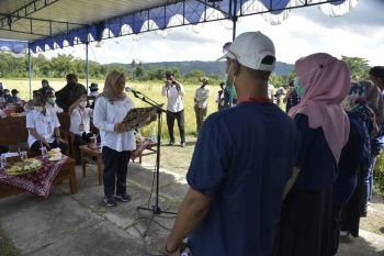 Bupati Sleman mengukuhkan jaringan petani milenial UPTD BP4
