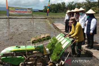 Kementan mencanangkan program IP Padi 400 seluas 5.000 hektare di Bantul