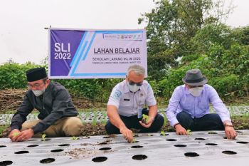 Konsepsi NTB menggelar Sekolah Lapang Iklim di Sembalun Lombok Timur