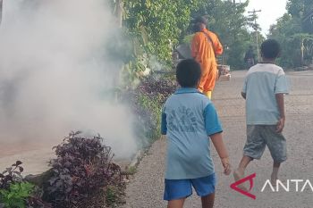 Pemkot Kupang dorong warga bersihkan lingkungan cegah DBD