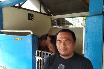 PPKM level 2 di Kota Payakumbuh, kegiatan Pacu kuda digelar tanpa penonton