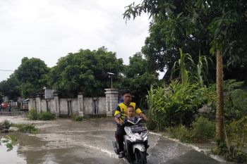 Sejumlah Sungai di Lombok Tengah mengalami pendangkalan