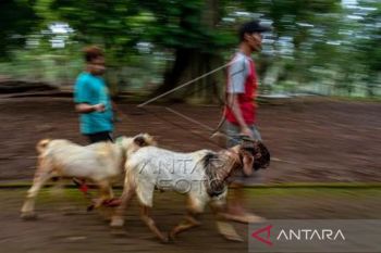 Tradisi Nyadran Kompleks Pemakaman Sentono Ngijo