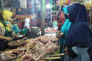 Distan menilai kenaikan harga ayam broiler di Mataram masih normal