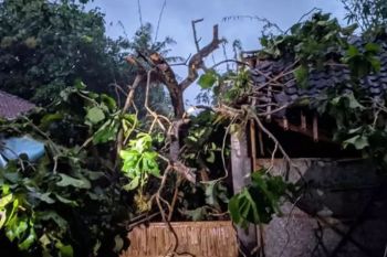 BPBD : Cuaca ekstrem sebabkan banjir dan pergerakan tanah di Bantul