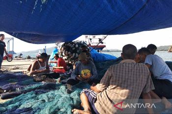 Cuaca ekstrem, ikan tangkapan nelayan Aceh Jaya menurun