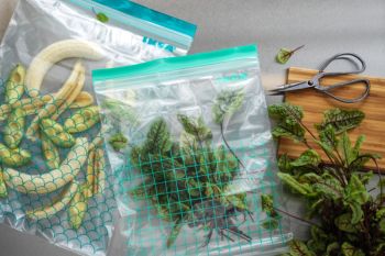 Eye on crisis, NFA strives to reduce food loss, waste