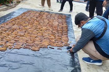 Pertumbuhan ekonomi Lampung peringkat lima di Sumatera