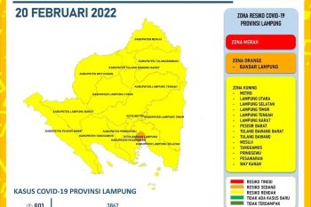 Kemarin Dinkes Lampung catat 801 penambahan kasus COVID-19, terbanyak dari Bandarlampung