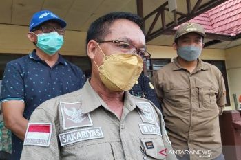 Bupati Katingan larang truk bermuatan kayu log melintas