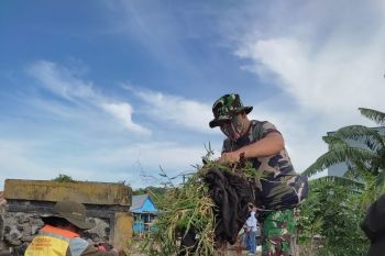 Pemkot Makassar rencanakan pembangunan Pembangkit Listrik Tenaga Sampah