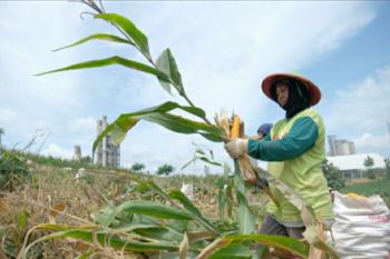 Semen Gresik buktikan komitmen operasional ramah lingkungan dan patuhi aturan