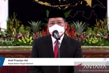 Kepala Badan Pangan Nasional mengutamakan sinergisme pemangku kepentingan
