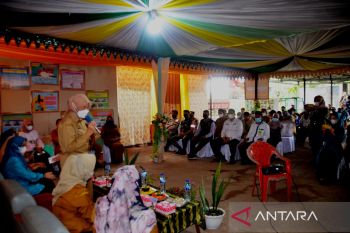 Bupati berharap Kades Pulau Sewangi terapkan indikator Kemen-PPPA RI