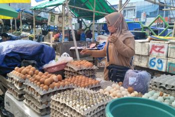 Distan Kota Mataram setop pasokan telur dari luar daerah