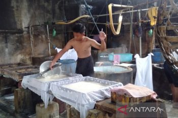 Harga kedelai naik, perajin tahu alami penurunan keuntungan