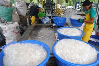 Rumah pengolahan sampah plastik di Bogor