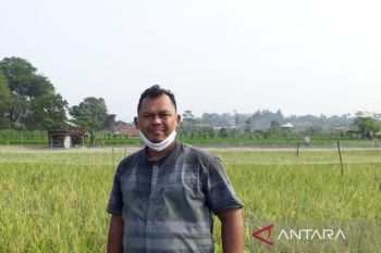 Akademikus: Perlu peningkatan produksi kedelai lokal