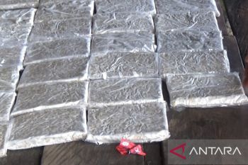 Menanti kebijakan untuk stabilkan harga kedelai