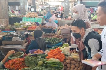 Harga cabai rawit tembus Rp80 ribu per kilogram