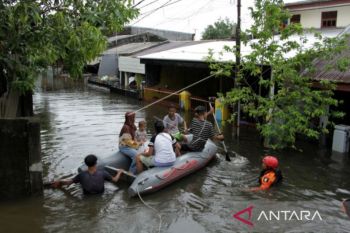BPBD: 12 kabupaten/kota di Sulsel terdampak bencana alam akibat hujan
