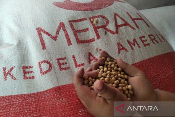 Kualitas kedelai Kabupaten Grobogan tak kalah dengan kedelai impor
