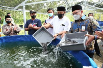 BI dorong kemandirian ekonomi pesantren melalui ekosistem  Hebitren