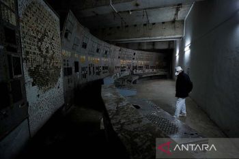 Jamur hitam di Chernobyl diduga manfaatkan radiasi untuk hidup