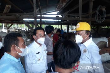 Pemkab Sigi buat Dolo Selatan wilayah pengembangan peternakan