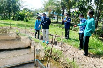 Kalteng kembangkan Kampung Budi Daya Ikan