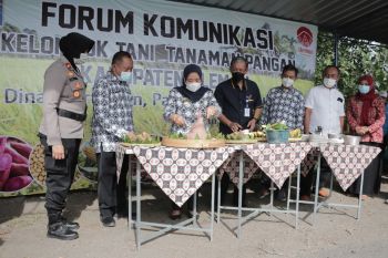Bupati Sleman mengukuhkan Jaringan Petani Milenial UPTD BP4 wilayah V