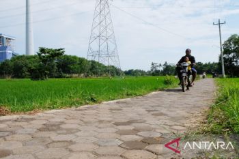 PLN memanfaatkan sisa pembakaran batu bara jadi batako hingga jalan tol