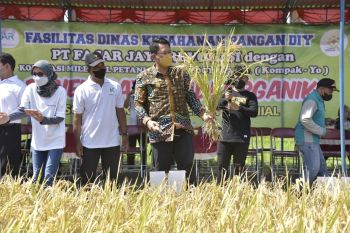 Wabup Sleman mendukung pengembangan pertanian modern