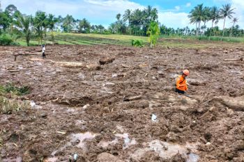 Five known dead in Pasaman West Sumatra earthquake: Search And Rescue team
