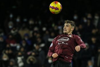 Salernitana paksa Bologna bermain imbang 1-1