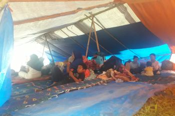 Pengungsi Translok Timbo Abu Talamau Pasbar butuh tenda yang layak