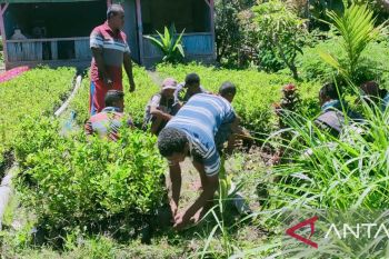 KLHK bantu kelompok tani di Timor Tengah Utara