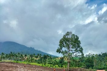 Tim SAR gabungan terus cari lima warga tertimbun longsor Pasaman