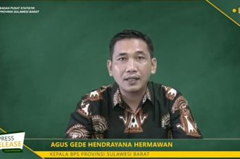 Produksi padi Sulbar turun 33,98 ribu ton GKG pada 2021