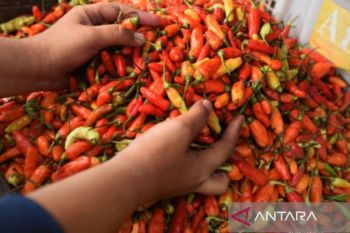 Kota Pangkalpinang  alami deflasi 0,53 persen