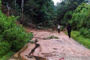 Material longsor di di Rimbo Kejahatan Kajai belum disingkirkan, akses jalan masih lumpuh