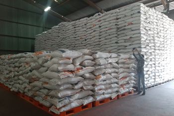 Produksi padi di Kepri pada 2021 naik tipis jadi 855 ton